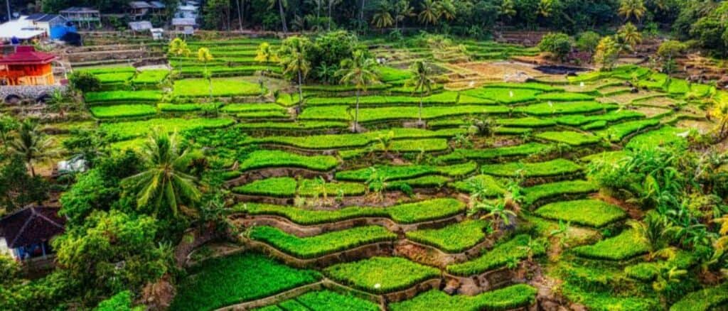 Indonesia Seguro de viaje Imaway