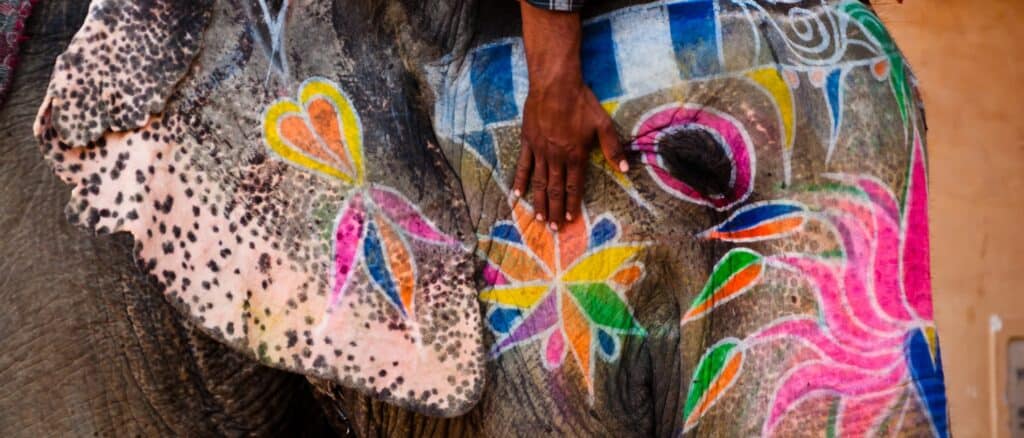 Vacunas necesarias para viajar a la India