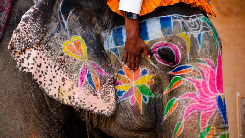 Vacunas necesarias para viajar a la India