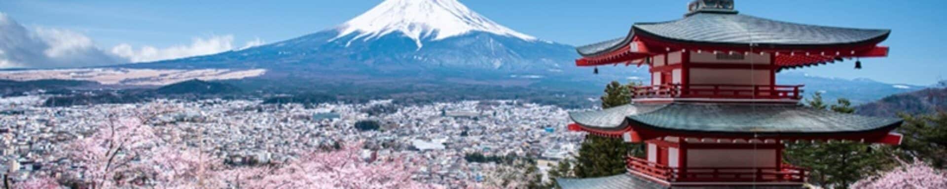 cuando viajar a japon