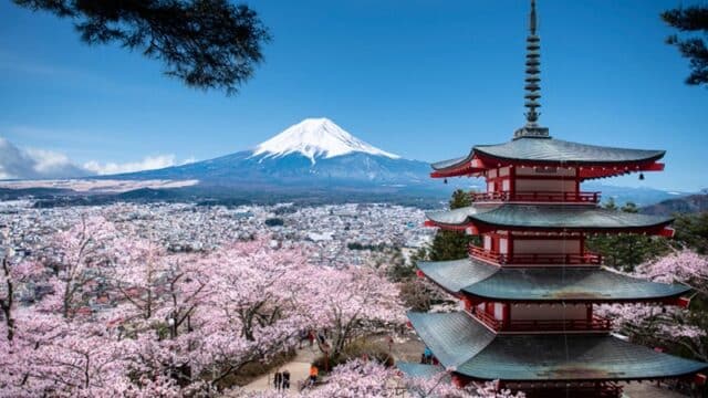 cuando viajar a japon
