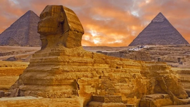vacunas egipto desde españa