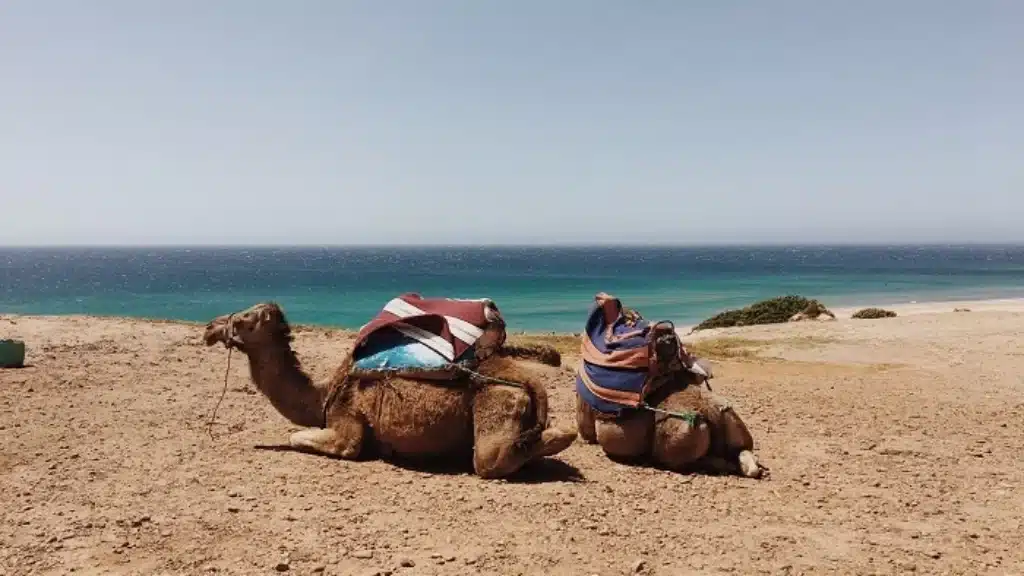 mejores playas marruecos