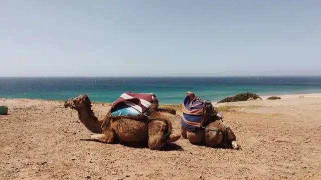 mejores playas marruecos
