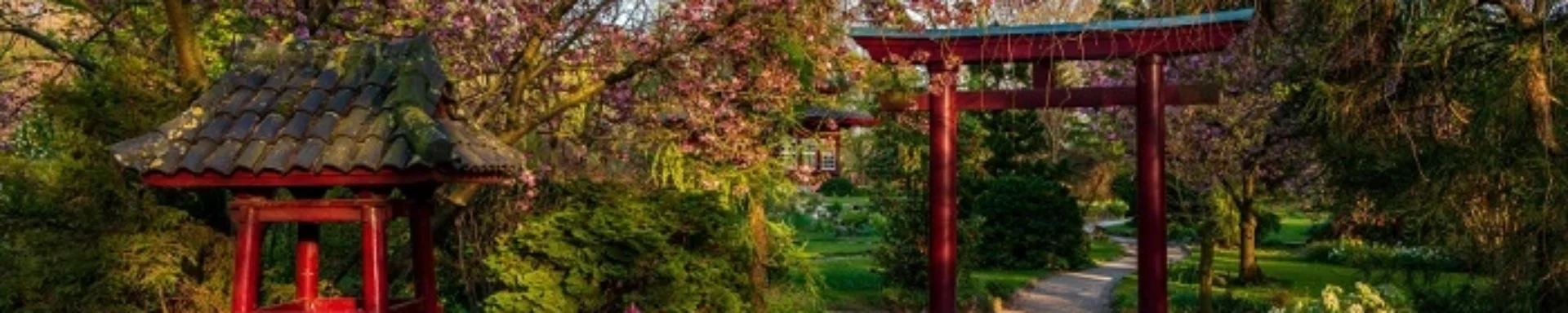 mejores Jardines japoneses
