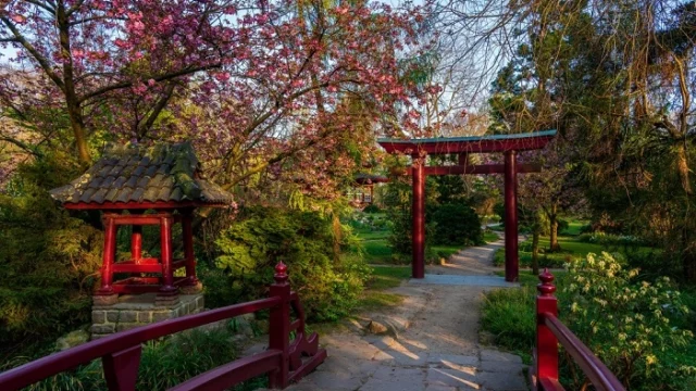 mejores Jardines japoneses