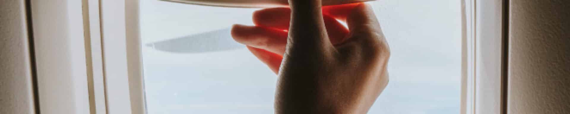 que te puedes llevar en un avión