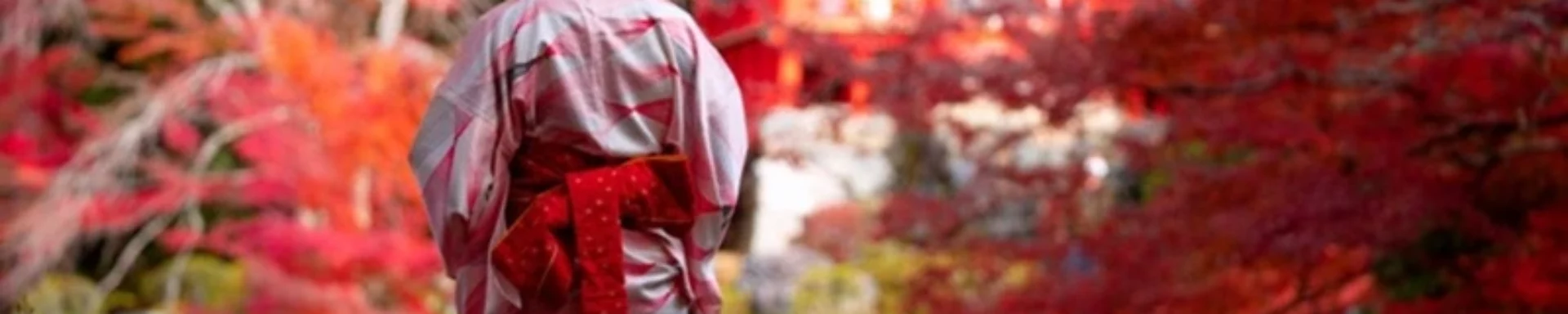 Viajar a Japón desde España