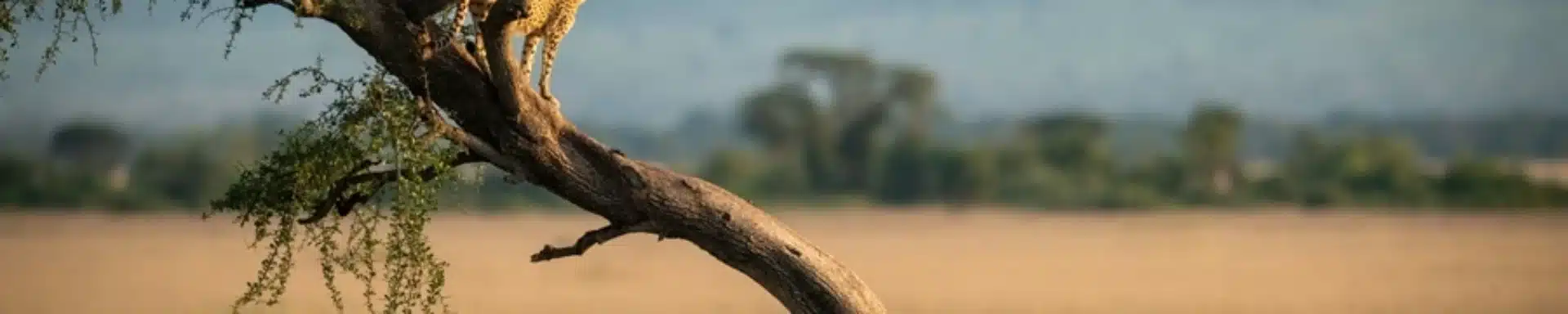 mejores lugares kenia 2026