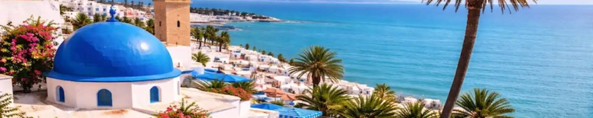 es peligroso viajar a túnez ahora