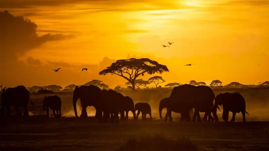 países más seguros de África