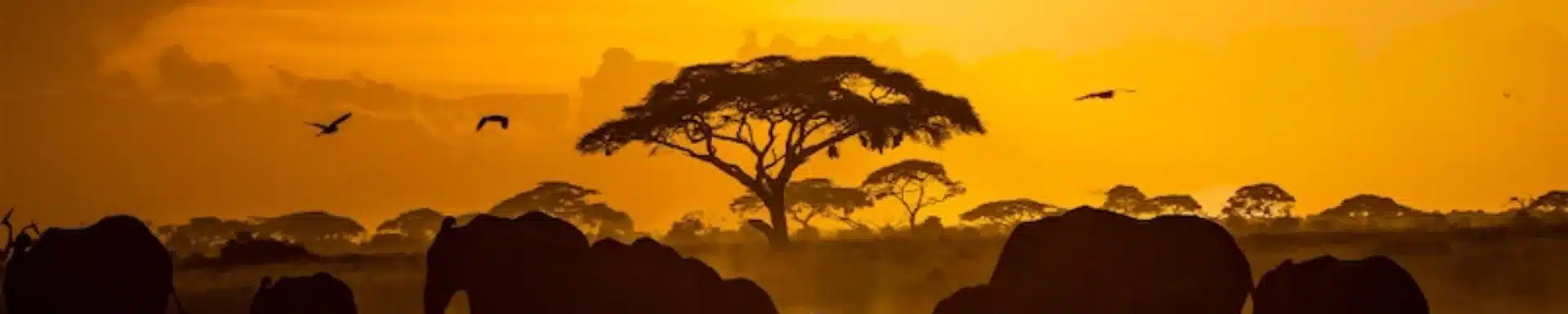 países más seguros de África